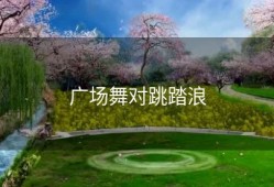 广场舞对跳踏浪