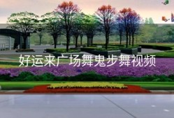 好运来广场舞鬼步舞视频