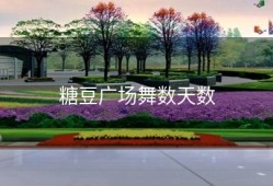 糖豆广场舞数天数