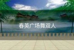春英广场舞双人