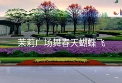 茉莉广场舞春天蝴蝶飞