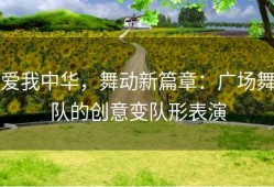 爱我中华，舞动新篇章：广场舞队的创意变队形表演