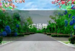 c广场舞