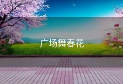 广场舞春花
