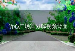 听心广场舞分解视频背面