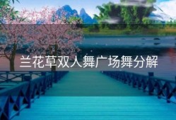 兰花草双人舞广场舞分解