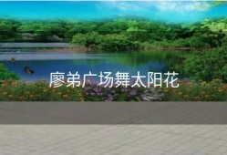 廖弟广场舞太阳花