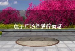 莲子广场舞梦醉荷塘