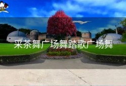 采茶舞广场舞踏歌广场舞