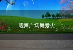 靓声广场舞爱火
