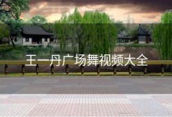 王一丹广场舞视频大全