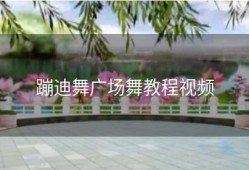 蹦迪舞广场舞教程视频