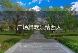 广场舞欢乐纳西人