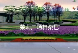 茉莉广场舞桑巴