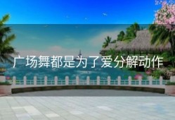 广场舞都是为了爱分解动作