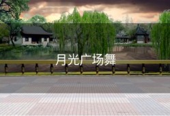 月光广场舞