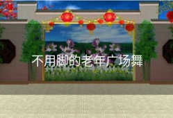 不用脚的老年广场舞