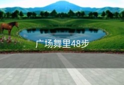 广场舞里48步
