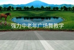 强力中老年广场舞教学