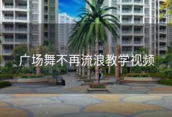 广场舞不再流浪教学视频