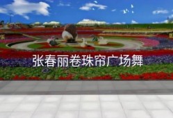 张春丽卷珠帘广场舞