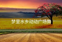 梦里水乡动动广场舞