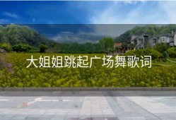 大姐姐跳起广场舞歌词