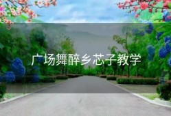 广场舞醉乡芯子教学