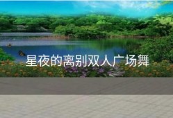 星夜的离别双人广场舞