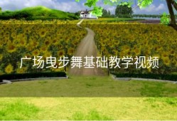 广场曳步舞基础教学视频