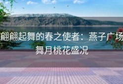 翩翩起舞的春之使者：燕子广场舞月桃花盛况