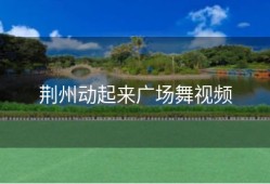 荆州动起来广场舞视频