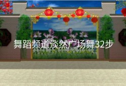 舞蹈频道淡然广场舞32步