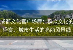 成都文化宫广场舞：群众文化的盛宴，城市生活的亮丽风景线
