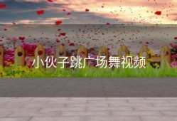 小伙子跳广场舞视频