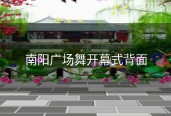 南阳广场舞开幕式背面