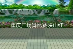 重庆广场舞比赛映山红