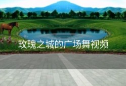 玫瑰之城的广场舞视频
