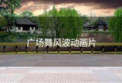 广场舞风波动画片