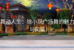 舞动人生：徐小凤广场舞的魅力与风采