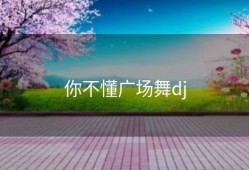 你不懂广场舞dj