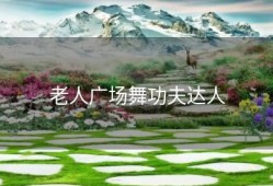 老人广场舞功夫达人