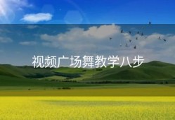 视频广场舞教学八步
