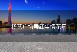 杨艺广场舞红尘情花开