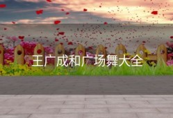 王广成和广场舞大全