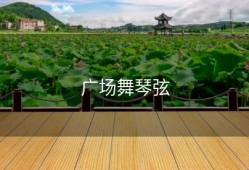 广场舞琴弦
