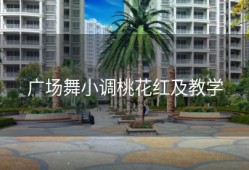 广场舞小调桃花红及教学