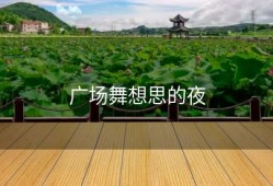 广场舞想思的夜