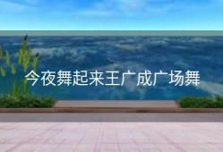 今夜舞起来王广成广场舞