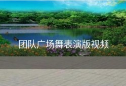 团队广场舞表演版视频